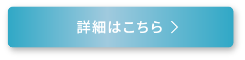 エクラフチュールt 60キット 詳細はこちら